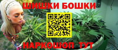 бошки Бердск