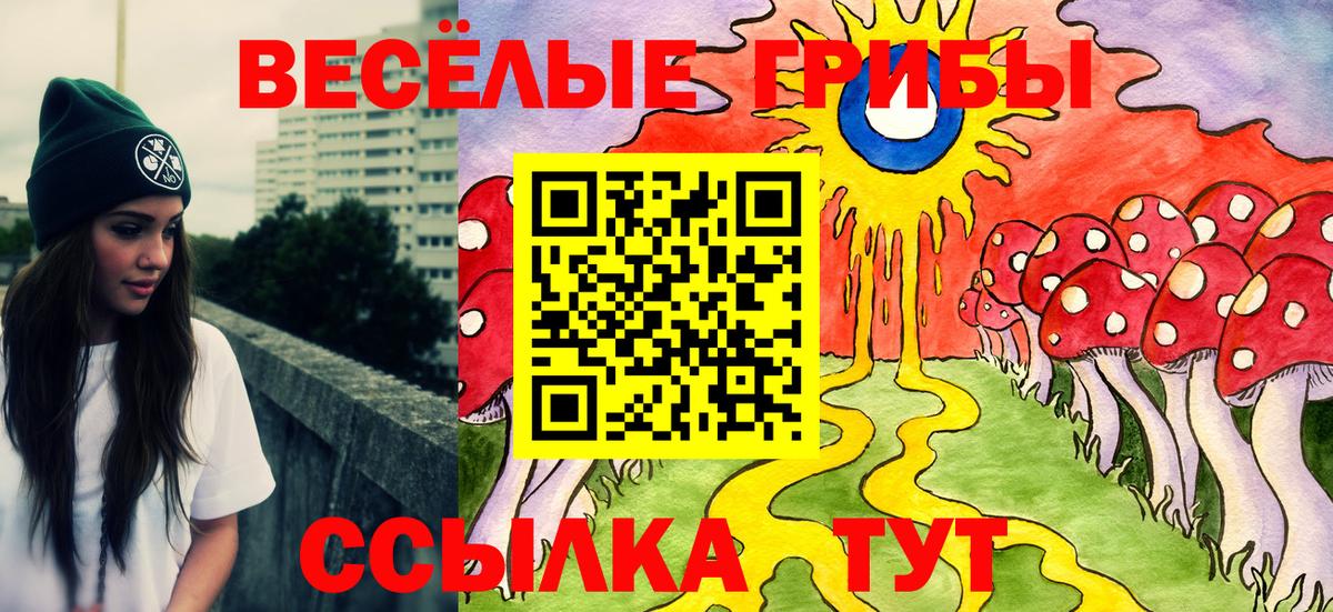 Дивногорск  Галлюциногенные грибы Psilocybe  даркнет сайт  Псилоцибиновые грибы MAGIC MUSHROOMS  Вход с VPN 
